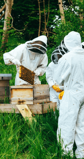 image of a beekeeper opening a hive and delivering an experience day